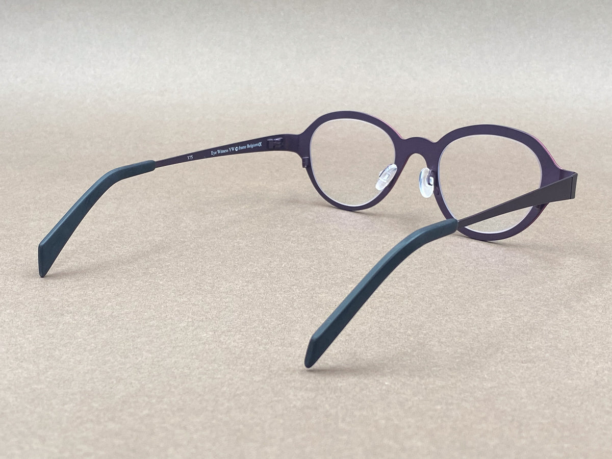 Theo Eye Witness YW glasses