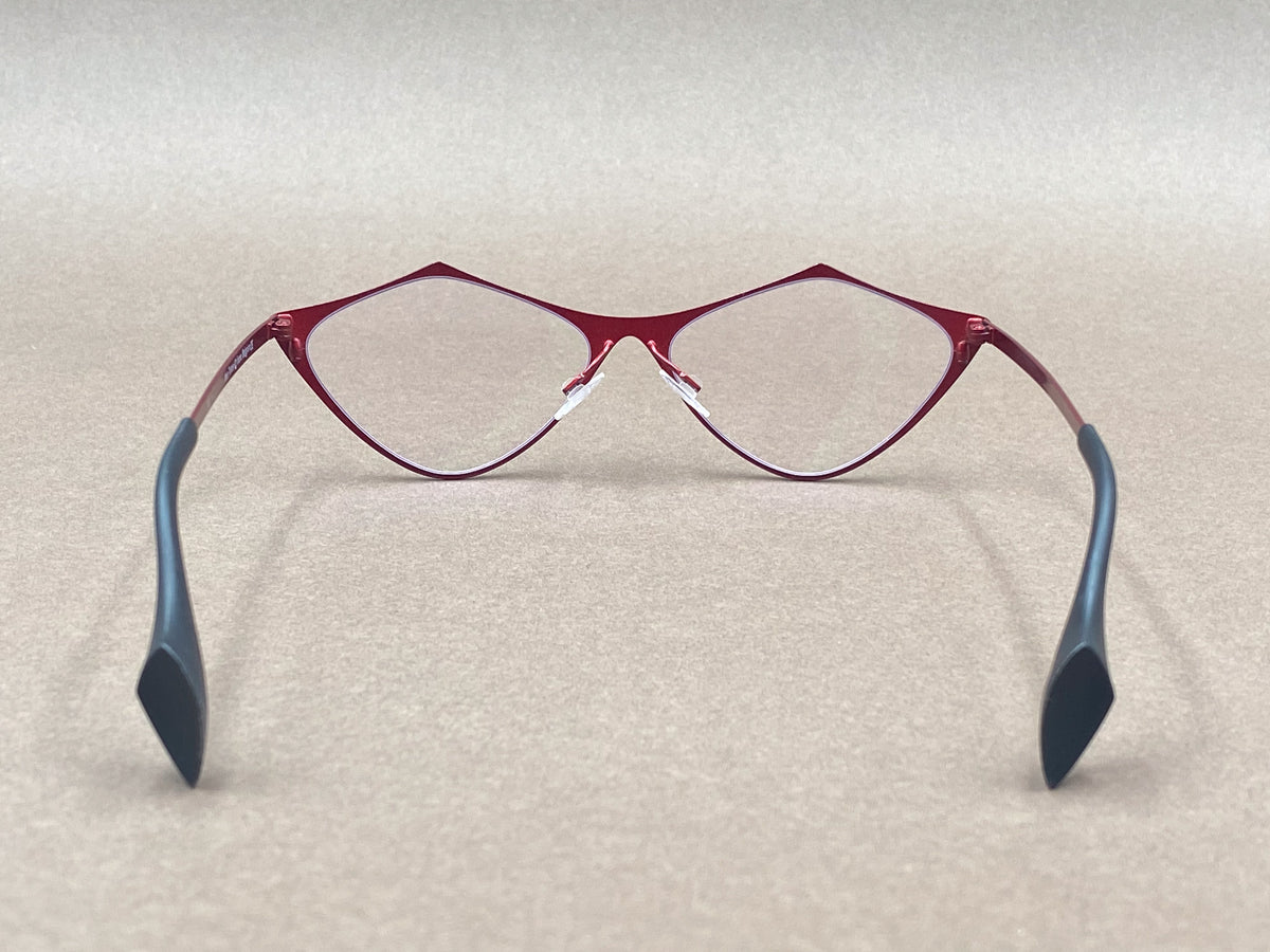 Theo Tottori glasses